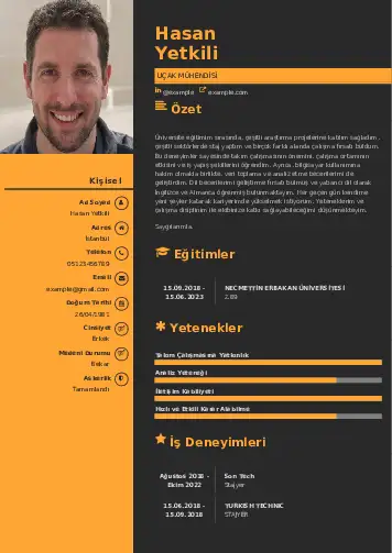 Havacılık Ve Uzay Uçak Mühendisi Cv Örnekleri cv indir